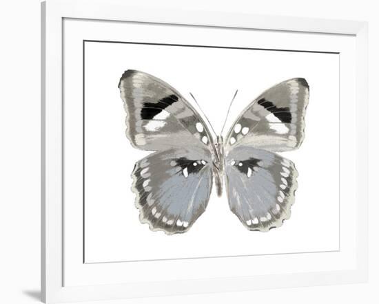 Butterfly in Grey II-Julia Bosco-Framed Art Print