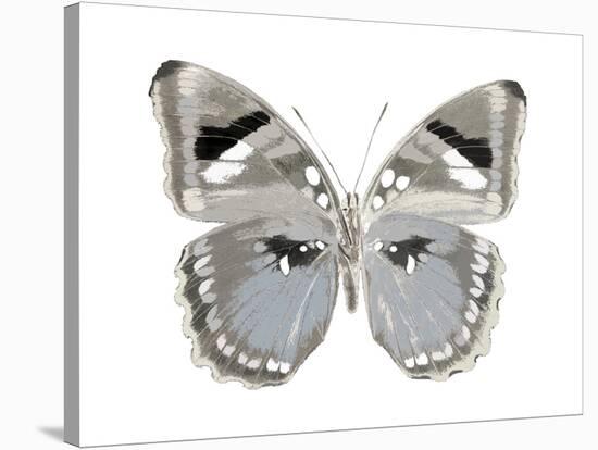 Butterfly in Grey II-Julia Bosco-Stretched Canvas