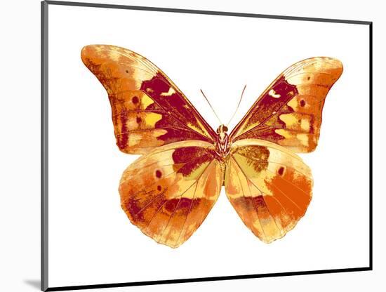 Butterfly in Grey III-Julia Bosco-Mounted Art Print