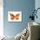 Butterfly in Grey III-Julia Bosco-Stretched Canvas displayed on a wall