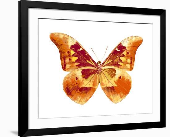 Butterfly in Grey III-Julia Bosco-Framed Art Print