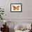 Butterfly in Grey III-Julia Bosco-Framed Art Print displayed on a wall