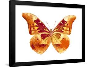 Butterfly in Grey III-Julia Bosco-Framed Art Print