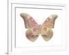 Butterfly in Grey IV-Julia Bosco-Framed Art Print