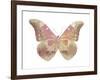 Butterfly in Grey IV-Julia Bosco-Framed Art Print