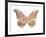 Butterfly in Grey IV-Julia Bosco-Framed Art Print