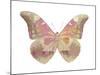 Butterfly in Grey IV-Julia Bosco-Mounted Art Print