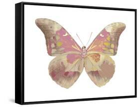 Butterfly in Grey IV-Julia Bosco-Framed Stretched Canvas