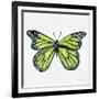 Butterfly in Lime-Cat Coquillette-Framed Giclee Print