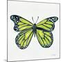 Butterfly in Lime-Cat Coquillette-Mounted Giclee Print