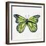 Butterfly in Lime-Cat Coquillette-Framed Premium Giclee Print