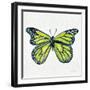 Butterfly in Lime-Cat Coquillette-Framed Premium Giclee Print