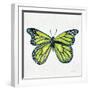 Butterfly in Lime-Cat Coquillette-Framed Premium Giclee Print