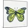 Butterfly in Lime-Cat Coquillette-Mounted Premium Giclee Print