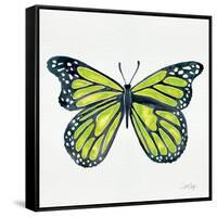 Butterfly in Lime-Cat Coquillette-Framed Stretched Canvas