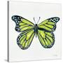 Butterfly in Lime-Cat Coquillette-Stretched Canvas