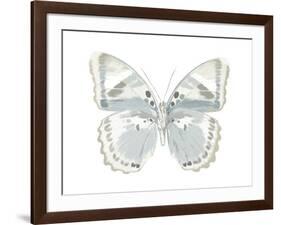 Butterfly in Mandarin-Julia Bosco-Framed Art Print