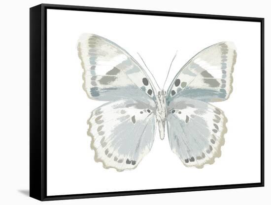 Butterfly in Mandarin-Julia Bosco-Framed Stretched Canvas