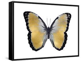 Butterfly in Metallic I-Julia Bosco-Framed Stretched Canvas