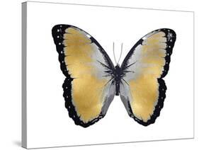 Butterfly in Metallic I-Julia Bosco-Stretched Canvas