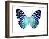 Butterfly in Metallic II-Julia Bosco-Framed Art Print