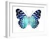 Butterfly in Metallic II-Julia Bosco-Framed Art Print