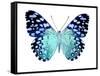 Butterfly in Metallic II-Julia Bosco-Framed Stretched Canvas