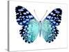 Butterfly in Metallic II-Julia Bosco-Stretched Canvas