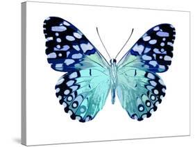 Butterfly in Metallic II-Julia Bosco-Stretched Canvas