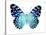 Butterfly in Metallic II-Julia Bosco-Stretched Canvas
