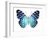 Butterfly in Metallic II-Julia Bosco-Framed Art Print