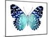 Butterfly in Metallic II-Julia Bosco-Mounted Art Print