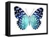 Butterfly in Metallic II-Julia Bosco-Framed Stretched Canvas