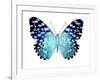 Butterfly in Metallic II-Julia Bosco-Framed Art Print