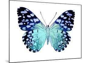 Butterfly in Metallic II-Julia Bosco-Mounted Art Print