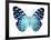 Butterfly in Metallic II-Julia Bosco-Framed Art Print