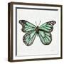 Butterfly in Mint-Cat Coquillette-Framed Giclee Print