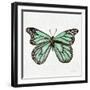 Butterfly in Mint-Cat Coquillette-Framed Giclee Print