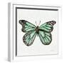 Butterfly in Mint-Cat Coquillette-Framed Giclee Print