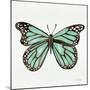 Butterfly in Mint-Cat Coquillette-Mounted Giclee Print