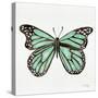 Butterfly in Mint-Cat Coquillette-Stretched Canvas