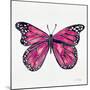 Butterfly in Pink-Cat Coquillette-Mounted Giclee Print