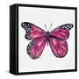 Butterfly in Pink-Cat Coquillette-Framed Stretched Canvas