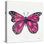 Butterfly in Pink-Cat Coquillette-Stretched Canvas