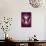 Butterfly in Purple Shadow-Ikuko Kowada-Mounted Giclee Print displayed on a wall