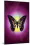 Butterfly in Purple Shadow-Ikuko Kowada-Mounted Giclee Print