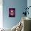 Butterfly in Purple Shadow-Ikuko Kowada-Framed Stretched Canvas displayed on a wall