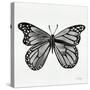 Butterfly in Silver-Cat Coquillette-Stretched Canvas