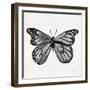 Butterfly in Silver-Cat Coquillette-Framed Giclee Print