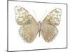 Butterfly in Taupe and Blue-Julia Bosco-Mounted Art Print
